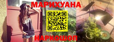 шишки Канаш