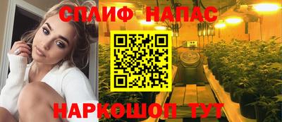 шишки Канаш
